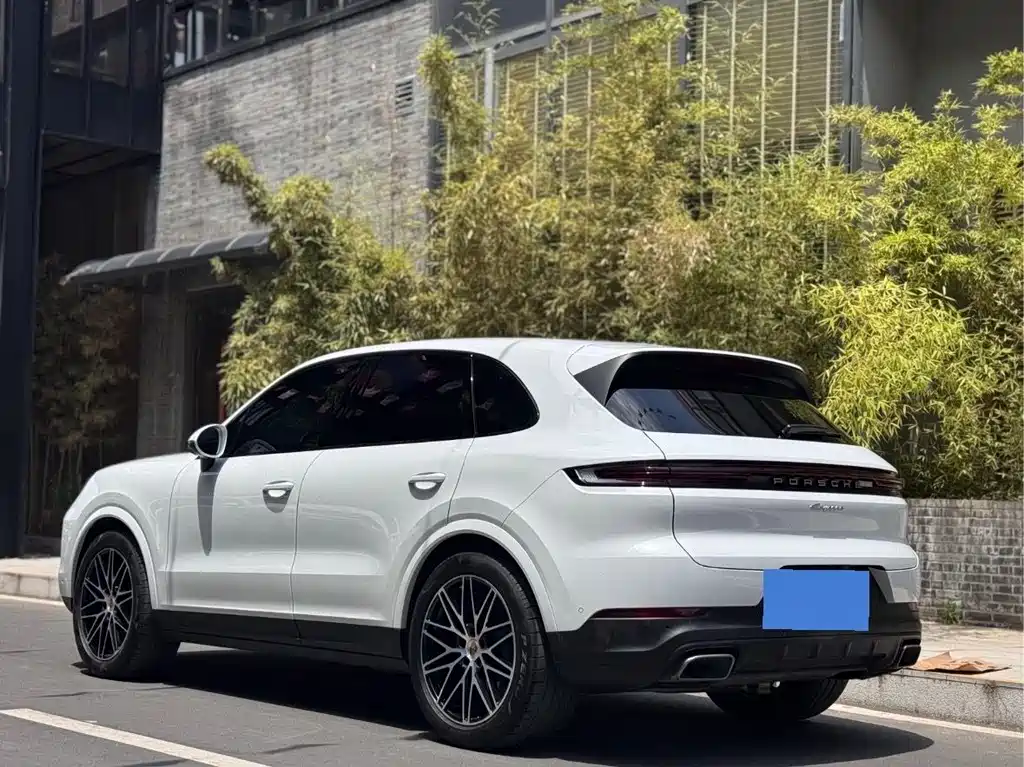 Porsche Cayenne 2024 — фото 16