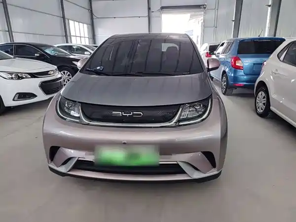 BYD Dolphin 2022