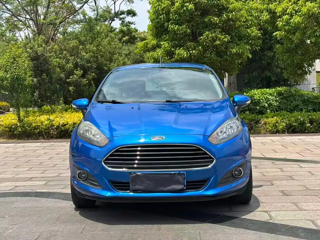 Ford Fiesta 2014 — фото 2