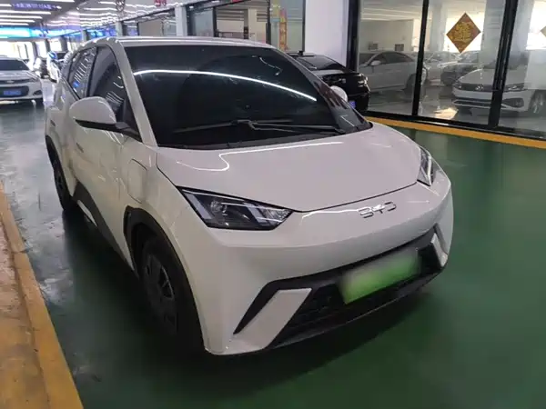 BYD Seagull 2024