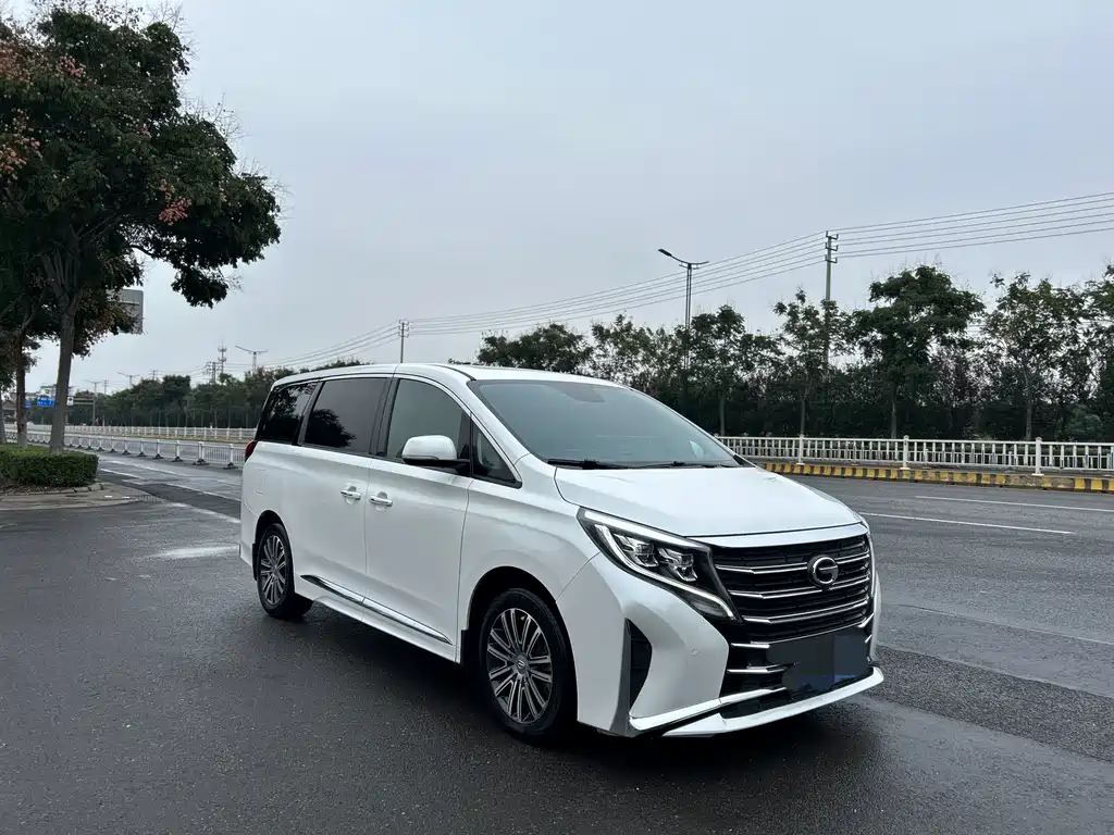 GAC Motor Trumpchi M8 2021 — фото 7