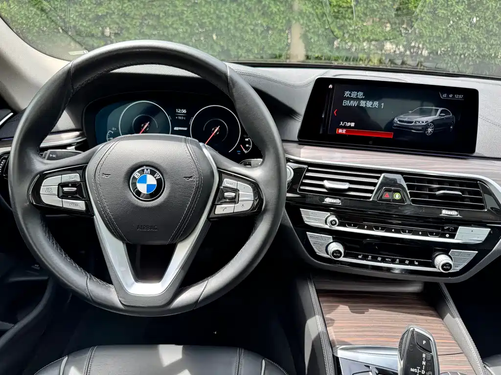 BMW 5 Series New Energy 2019 — фото 12