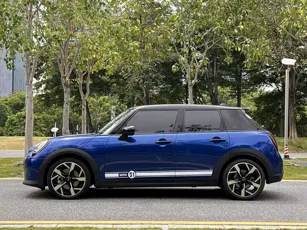 MINI MINI 2024