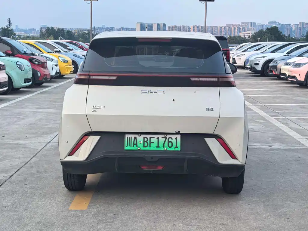BYD Seagull 2024