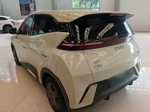 BYD Seagull 2024