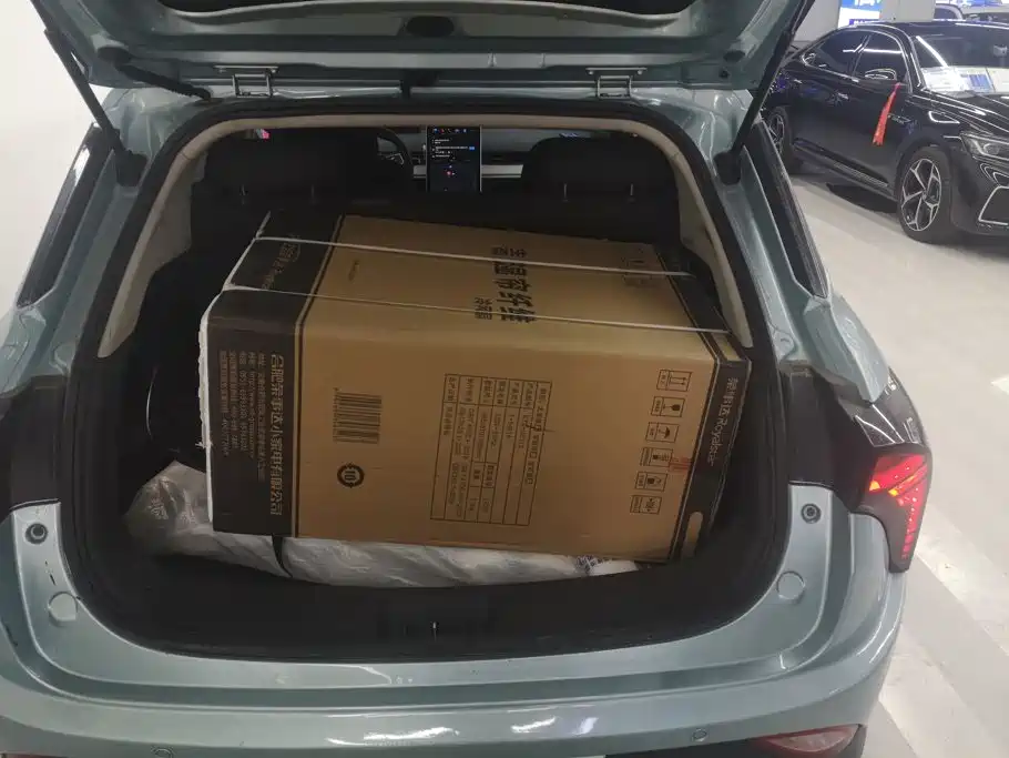 Neta V 2022