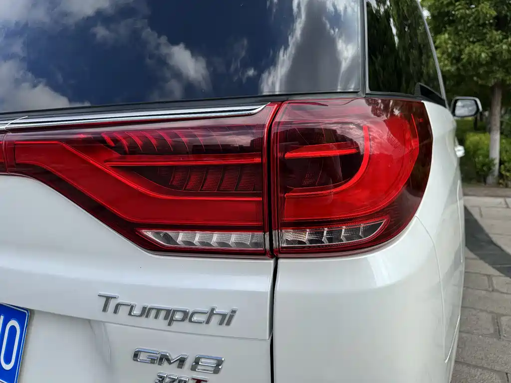 GAC Motor Trumpchi M8 2018 — фото 30