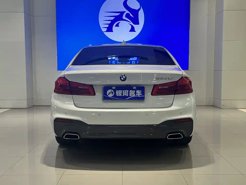 BMW 5 Series 2018 — фото 14