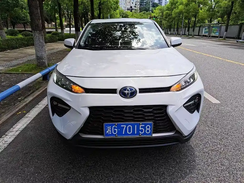 Toyota Wildlander 2022