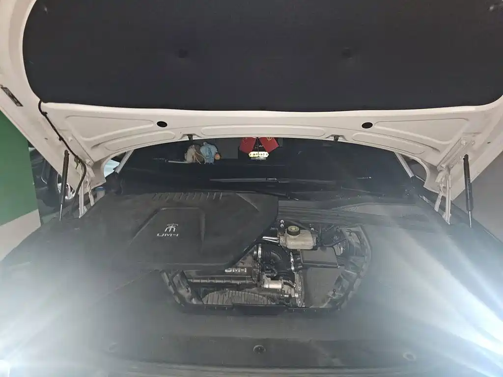 BYD Song PLUS New Energy 2023 — фото 16
