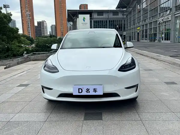 Tesla Model Y 2021