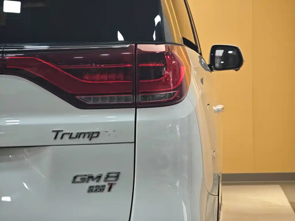 GAC Motor Trumpchi M8 2018 — фото 30