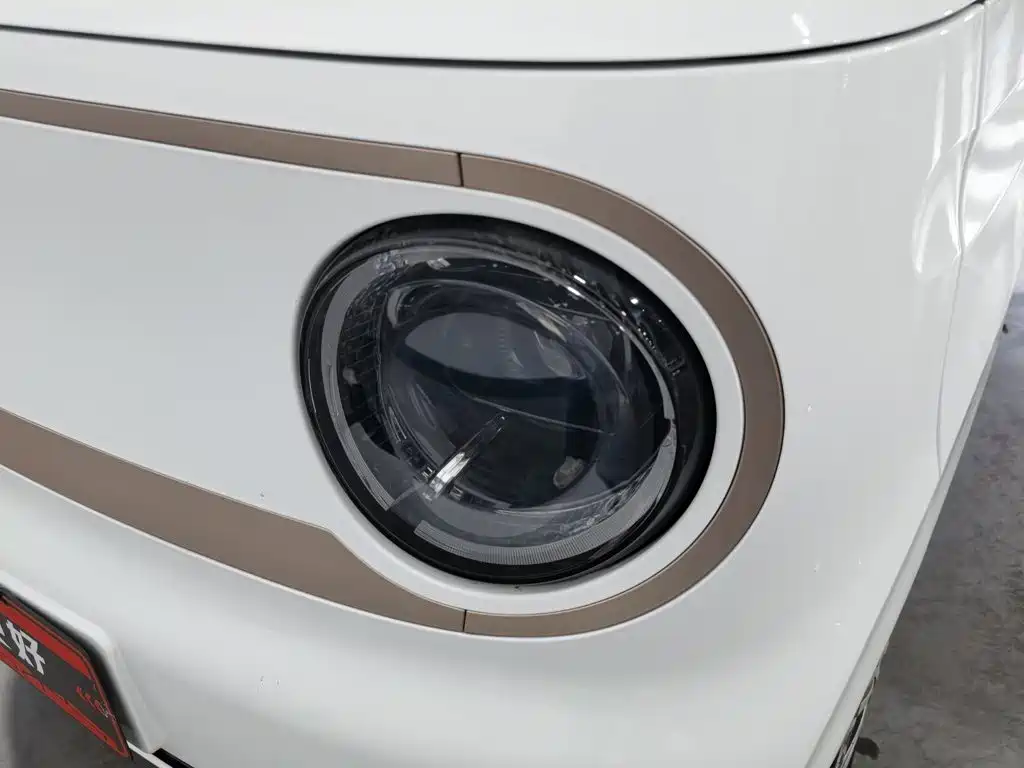 Galaxy Panda 2023