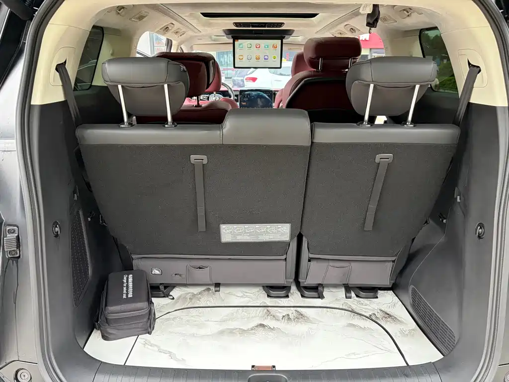 GAC Trumpchi E9 2023 — фото 25
