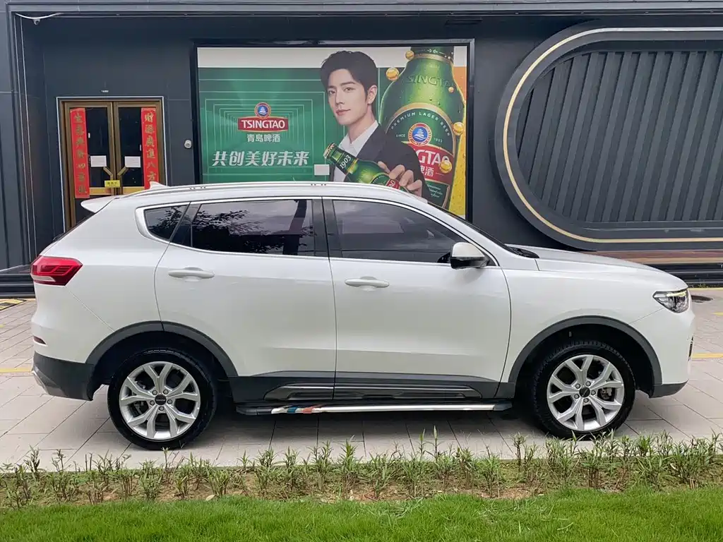 Haval H6 2020 — фото 8