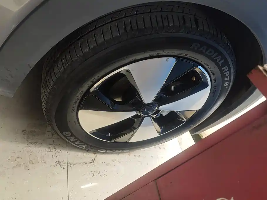 BYD Dolphin 2023