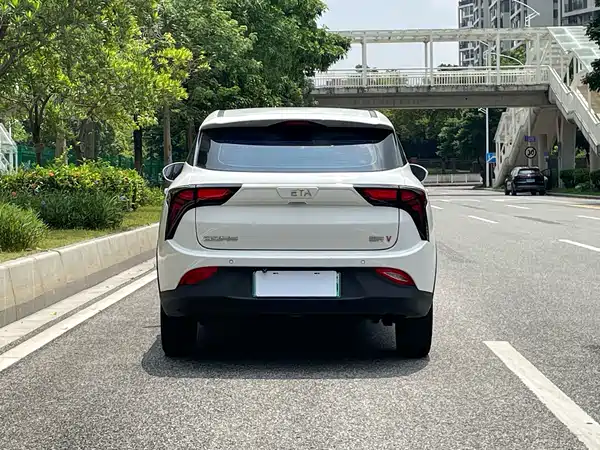 Neta V 2022
