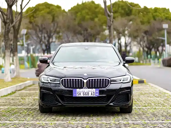 BMW 5 Series 2021
