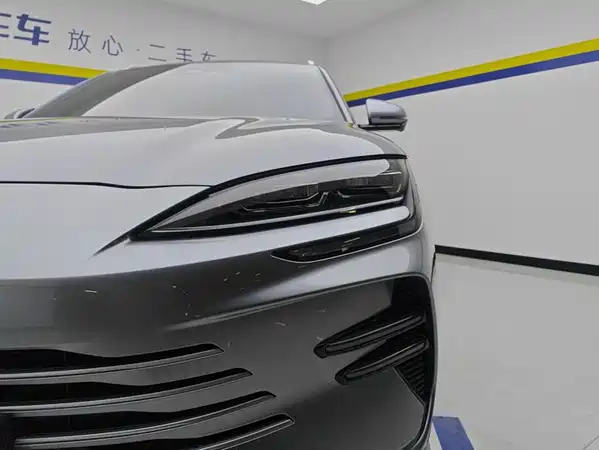 BYD Song PLUS New Energy 2024