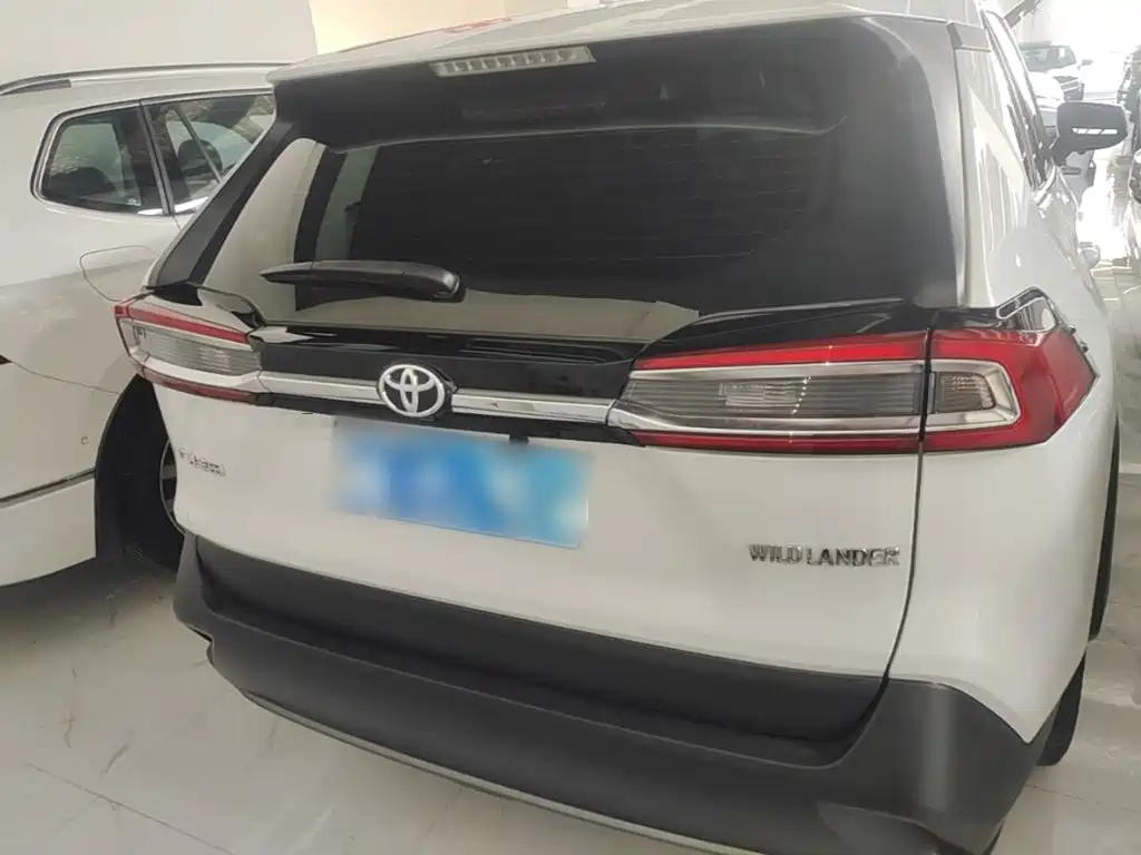 Toyota Wildlander 2022