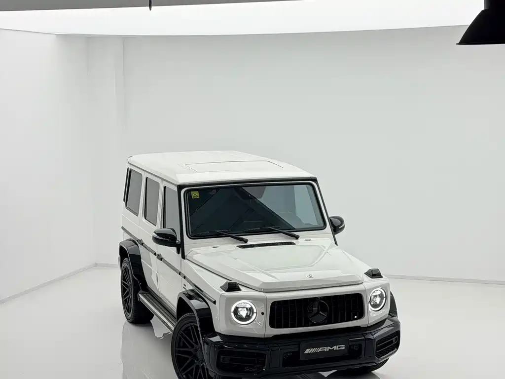 Mercedes-Benz G-Class 2018 — фото 12
