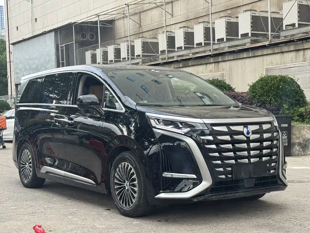 Denza D9 2023 — фото 3