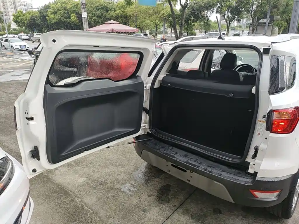 Ford EcoSport 2019 — фото 19