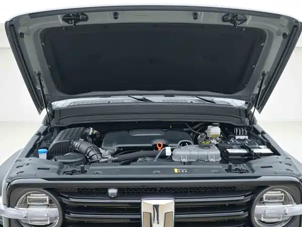 Tank 300 2024