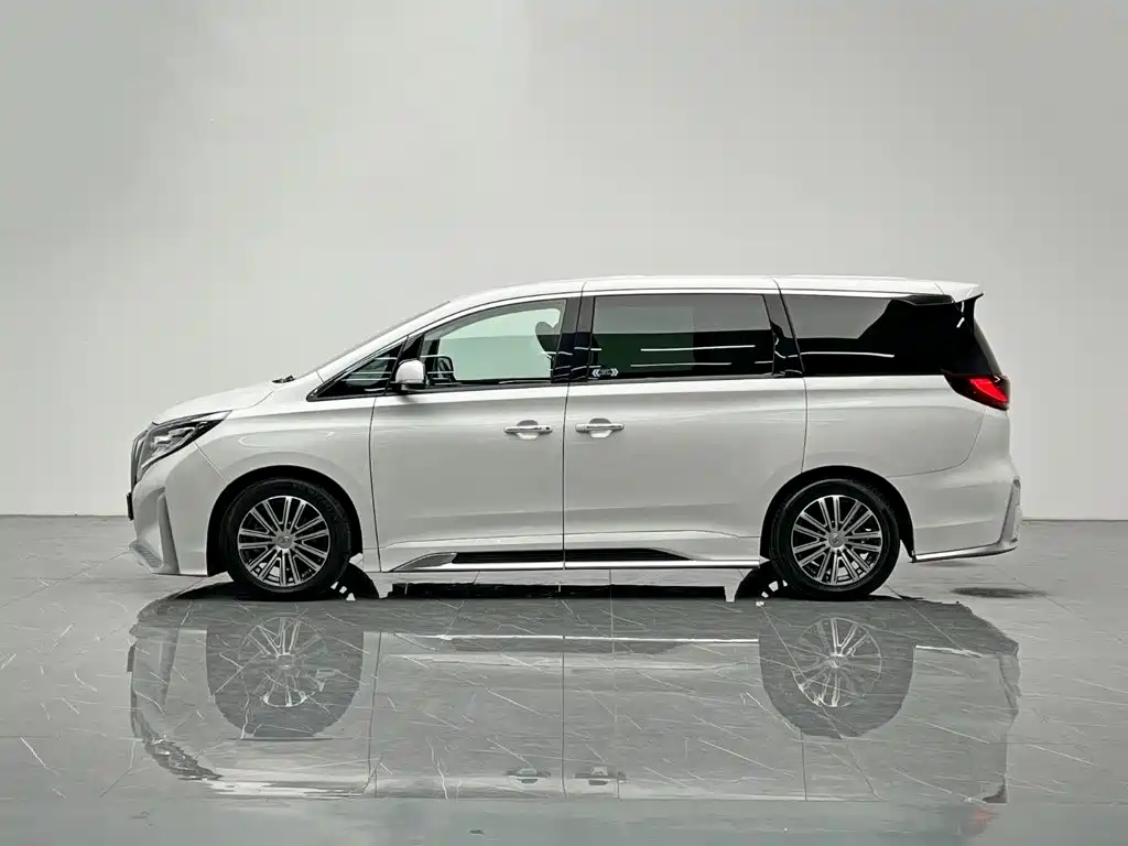 GAC Trumpchi M8 2022 — фото 3