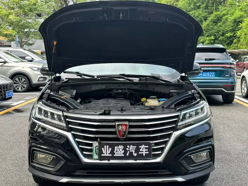 Roewe RX5 New Energy 2018 — фото 8
