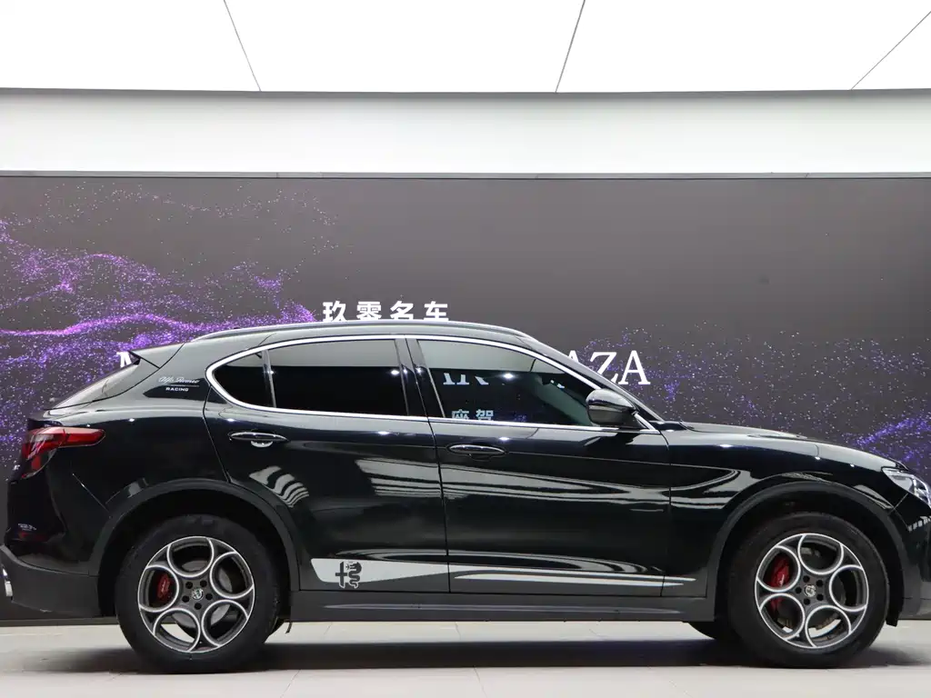 Alfa Romeo Stelvio 2020 — фото 7