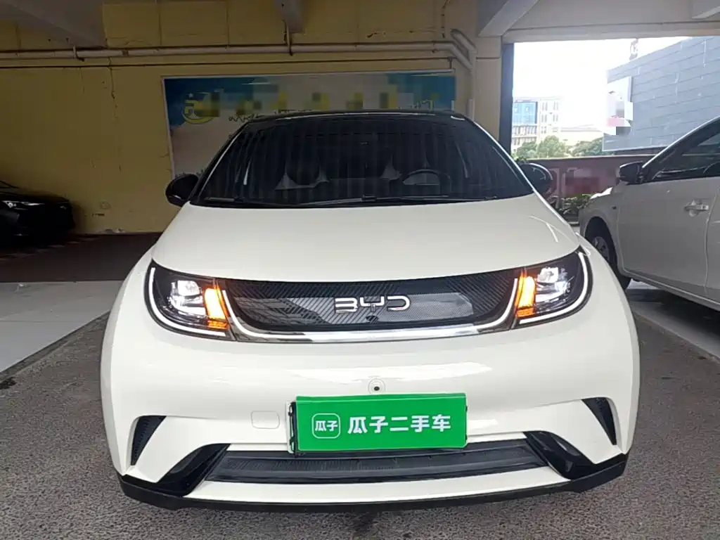BYD Dolphin 2024