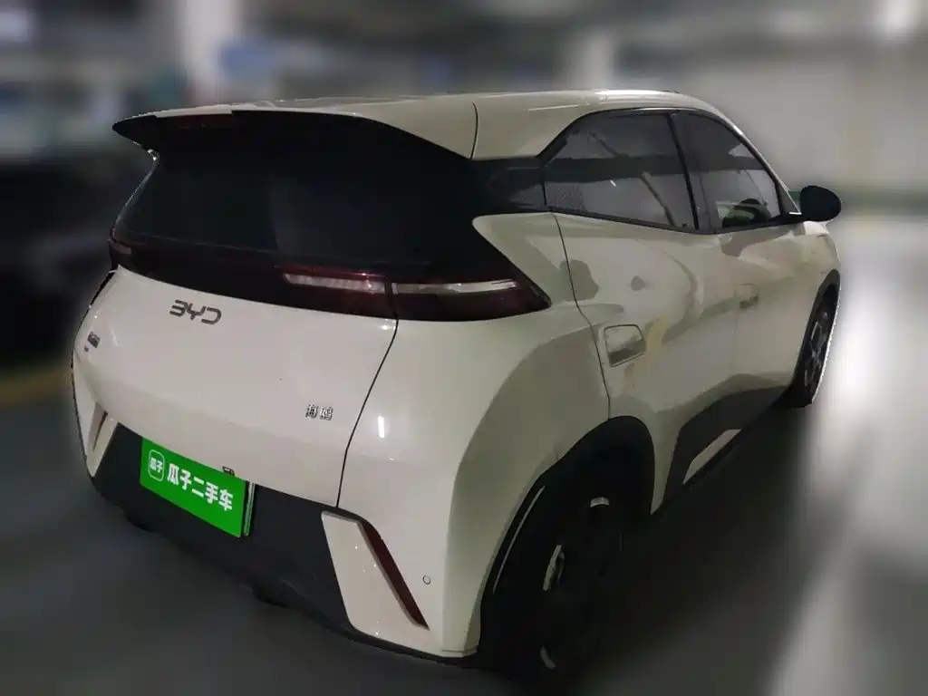BYD Seagull 2024