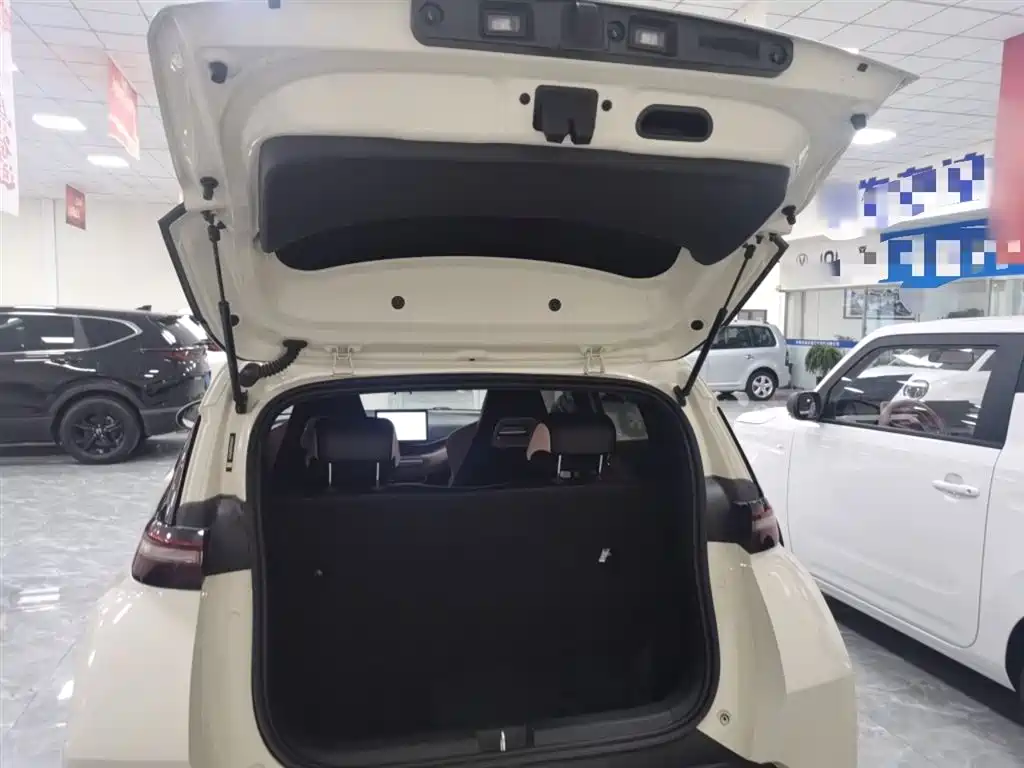 BYD Seagull 2025 — фото 15