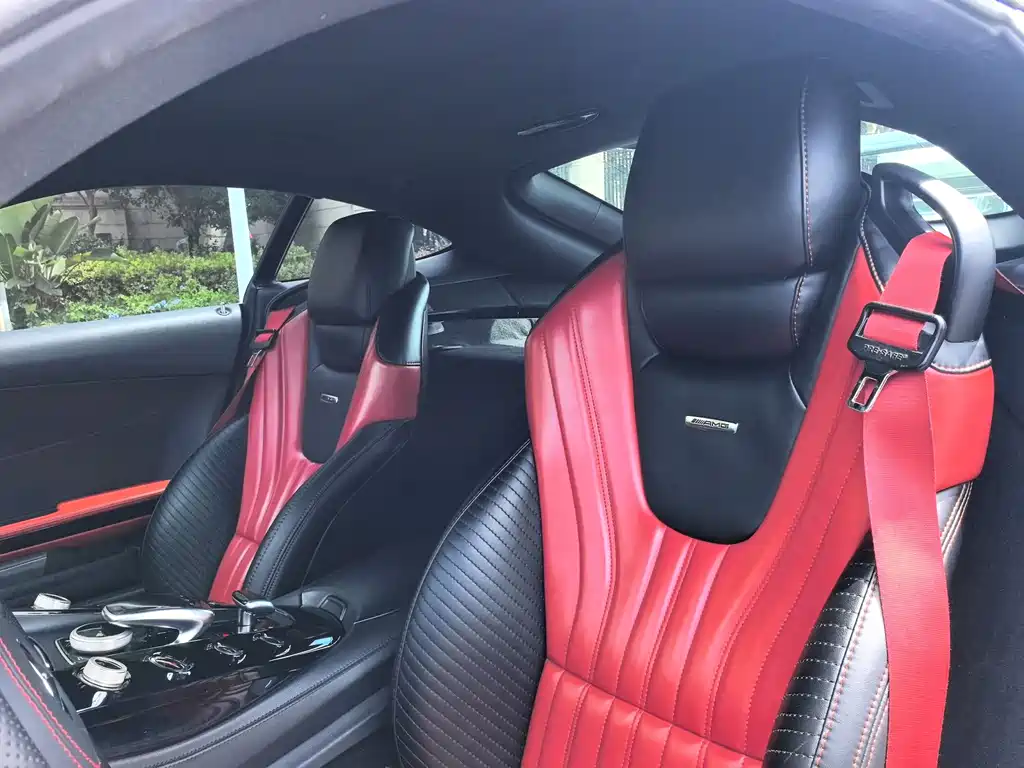 Mercedes-Benz AMG GT 2017 — фото 11