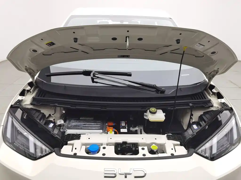 BYD Seagull 2024