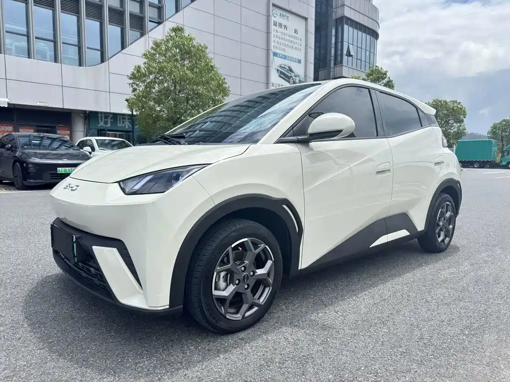 BYD Seagull 2024 — фото 1
