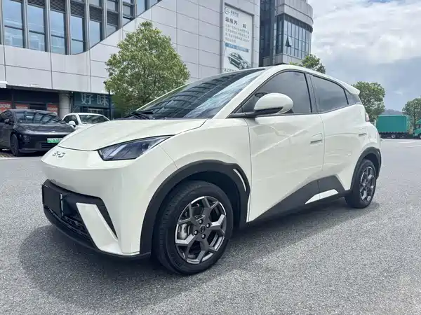 BYD Seagull 2024
