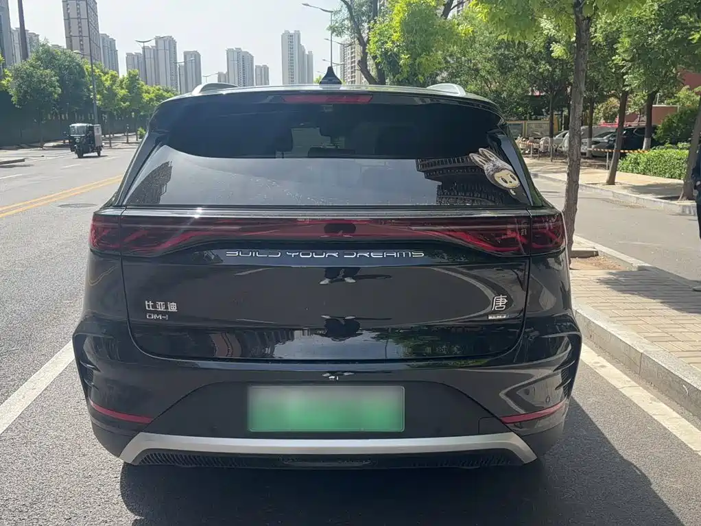 BYD Tang New Energy 2025 — фото 10