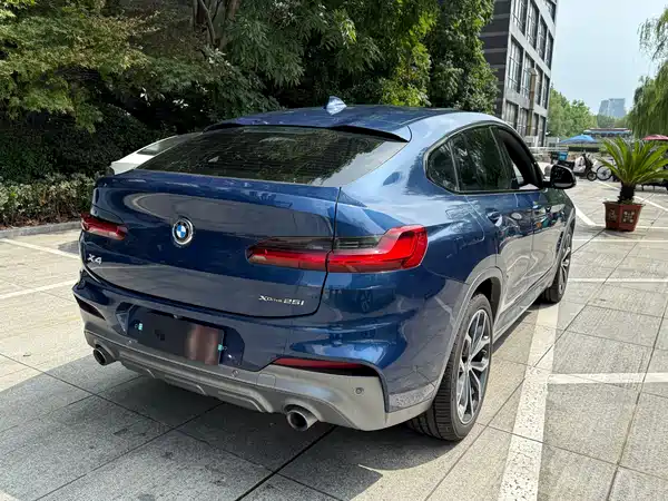 BMW X4 2019