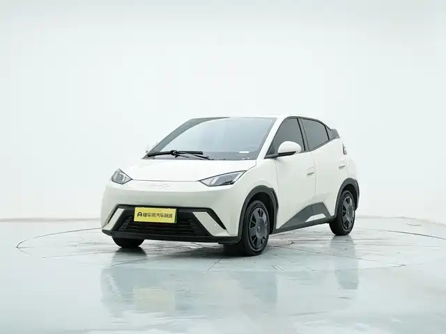 BYD Seagull 2024