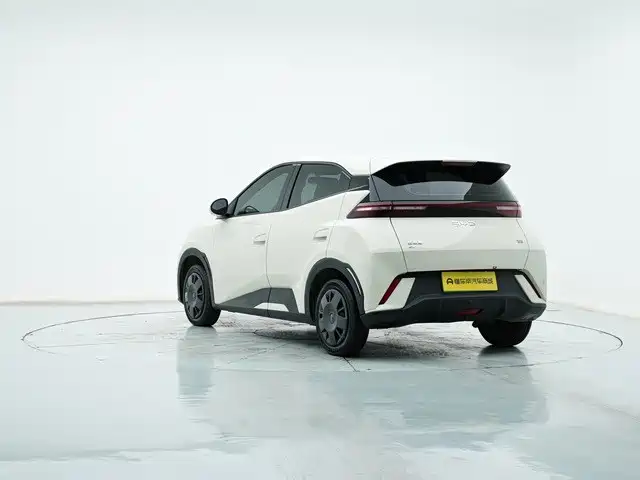 BYD Seagull 2024