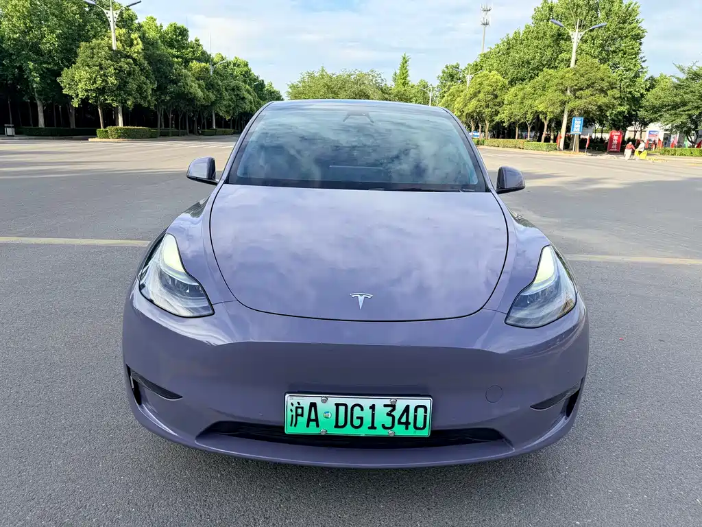 Tesla Model Y 2021 — фото 2