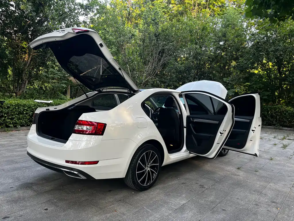 Skoda Octavia 2021 — фото 9