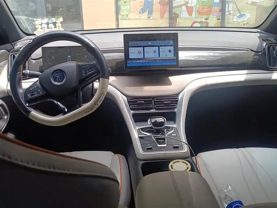 BYD Pro New Energy 2025 — фото 12