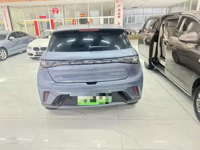 BYD Dolphin 2024