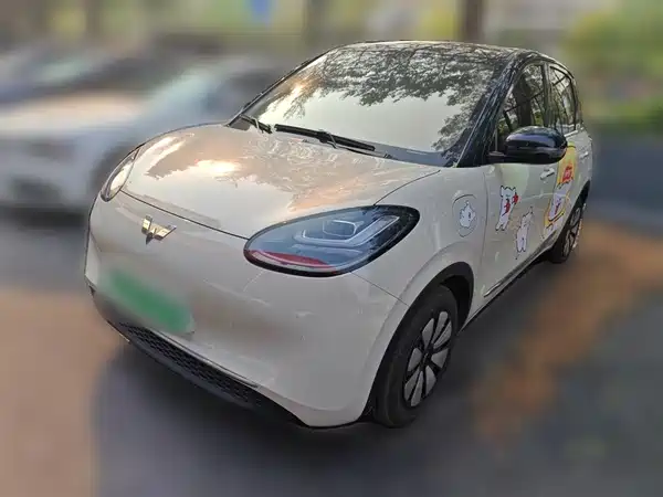 Wuling Bingo 2024
