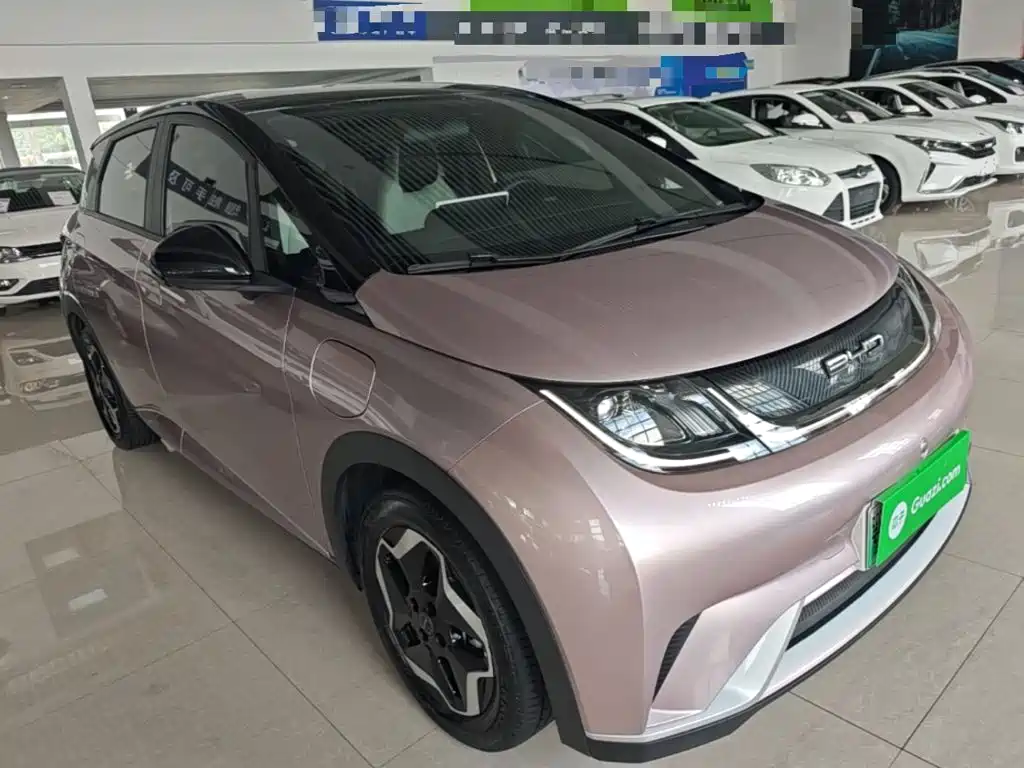 BYD Dolphin 2022
