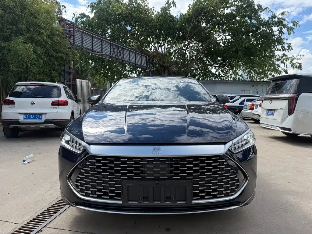 BYD Qin PLUS 2023 — фото 2