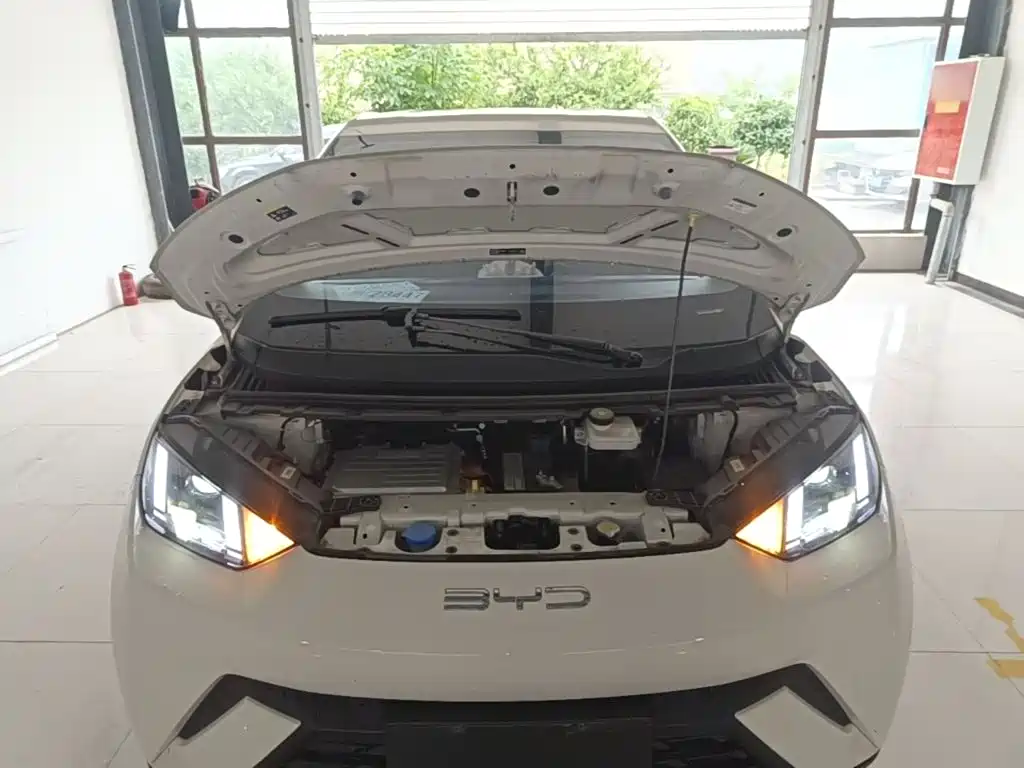 BYD Seagull 2023 — фото 20